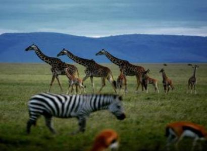 3 Nights 4 Days Maasai Mara