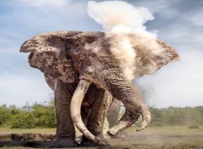 3 Nights 4 Days Maasai Mara