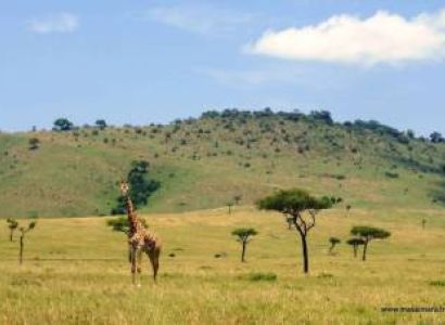 8 Days Kenya Big Five Special