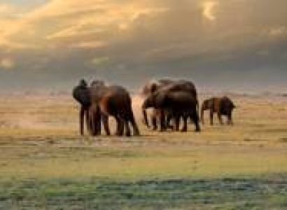 14 Days Kenya - Go South Tour