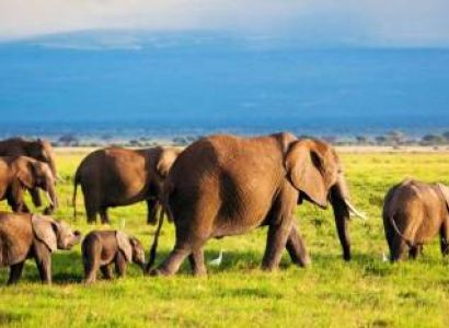 10 Days Kenya Safari Around Mombasa - Beach Tour