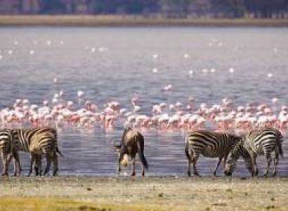 5 Days Kenya - A Beautiful Road Trip