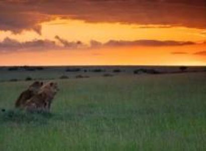 14 Days Kenya - The Big Five - The Beach Tour