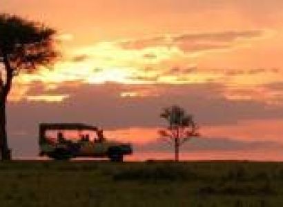 15 Days Kenya - Ten Parks In One Safari Tour