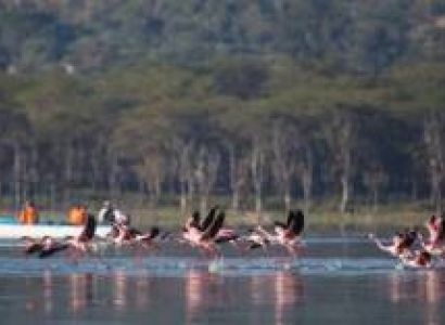 7 Days Kenya Safari In The South Tour