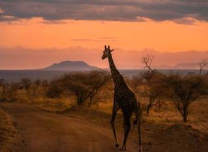 12 Days Southern Parks In Kenya - Wheelchair Friendly