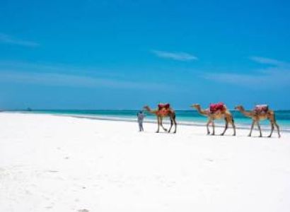 A 6-Day Holiday Extension In Mombasa Tour