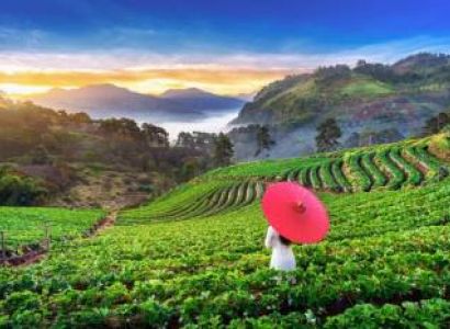 5D - 4N Vietnam Tour Package