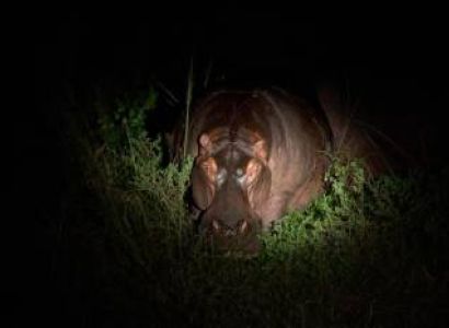 3-Day Fly in Luxury Enjoyable Honeymoon