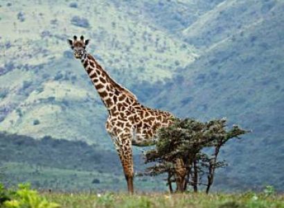 3-Day Fly in Luxury Enjoyable Honeymoon