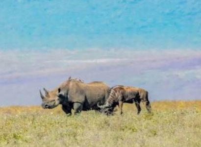 6-Day Majestic Tanzania - Luxury