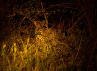 6-Day Majestic Tanzania - Luxury