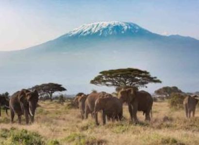 4 Days Safari - Tsavo West - Amboseli And Tsavo East Tour