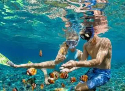 1 Day Safari Blue Tour Package