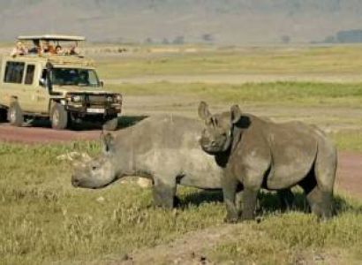 2 Day 1 Night Tanzania Tour