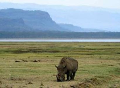 Wilderness Odyssey - 8 Days Safari Tour