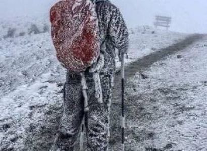 4 Night 5 Days Tanzania Classic Safari