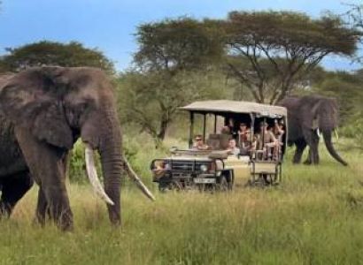 4 Night 5 Days Tanzania Classic Safari