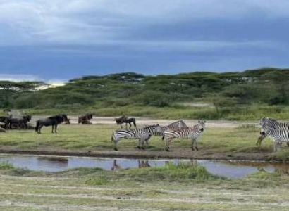 4 Night 5 Days Tanzania Classic Safari