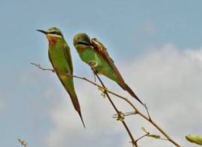 2 Nights - 3 Days - Tarangire/ Ngorongoro Crter/ Manara Park