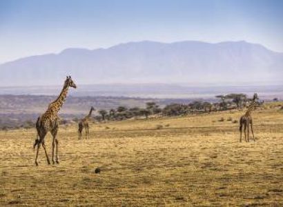 5 Days Tanzania Safari Mid-Range Tour