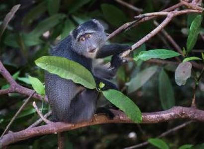 10 nights 11 Days Serengeti Special - 5* Accommodations