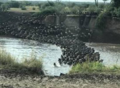 11 Nights 12 Days - River Crossing & Zanzibar