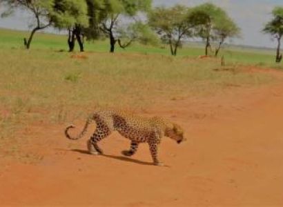 11 Nights 12 Days - River Crossing & Zanzibar