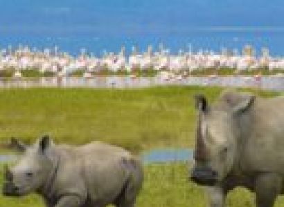Kenya And Northern Tanzania Best Tour