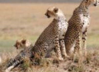 3 Days Northern Tanzania Without Serengeti Tour