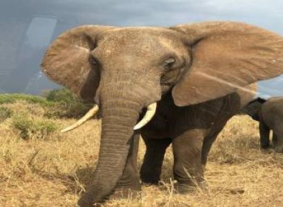 Kenya And Northern Tanzania Best Tour