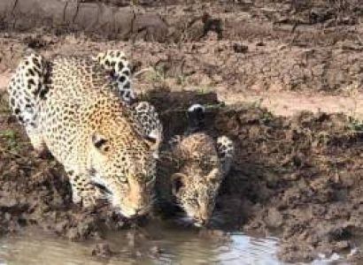 3 Days Northern Tanzania Without Serengeti Tour