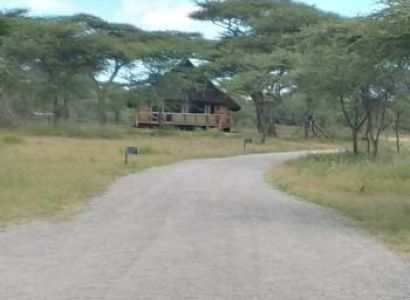 12 Nights 13 Days Northern Tanzania Including Lake Victoria Tour