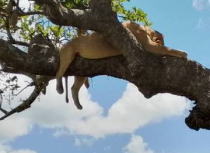 7 Nights - 8 Days Eastern Tanzania Package