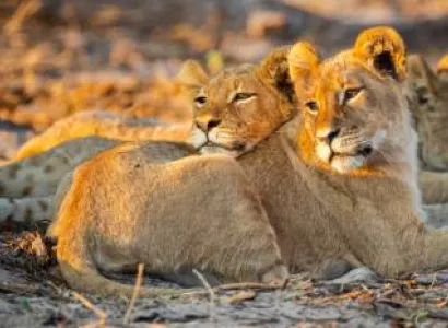 9 Nights 10 Days - Southern Tanzania Special Tour Package