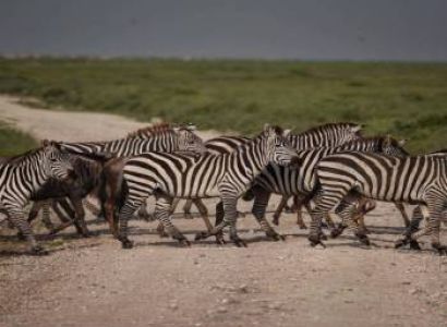 2 Days Tanzania Safari