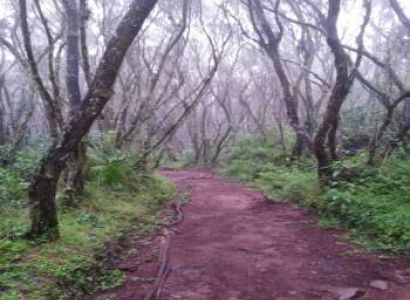 Marangu Route – 6 Days