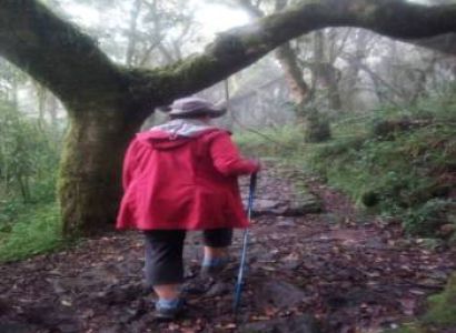 Marangu Route – 6 Days