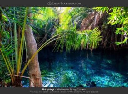 Chemka Hot Spring Day Trip