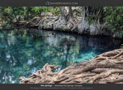Chemka Hot Spring Day Trip