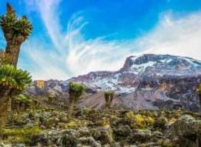 Lemosho Route - 7 Days Tour