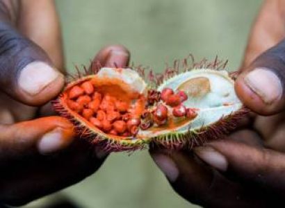 Zanzibar 4 Days 3 Nights Package