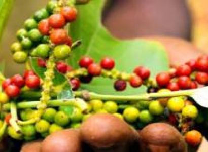 Zanzibar 3 Days 2 Nights Package