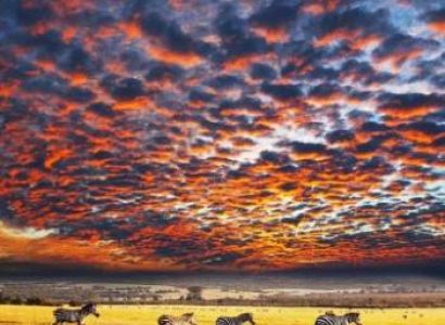 Ngorongoro Tour Packages