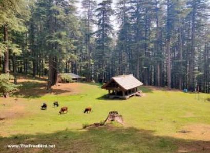 Jibhi - Tirthan Valley Trip Package From Delhi