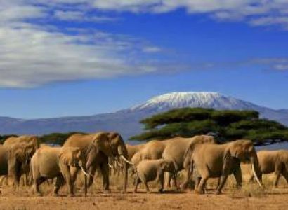 Nairobi Safaris - 3 Days Amboseli African Wildlife Safari