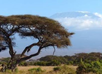 3 Days Nairobi Safari To Amboseli And Tsavo West Tour
