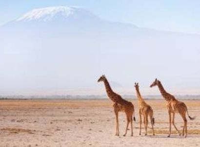 7 Days Amboseli - Lake Nakuru And Samburu Safari Tour