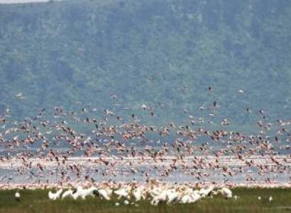 Samburu Tour Packages