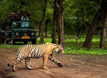 Nainital - Jim Corbett Tour